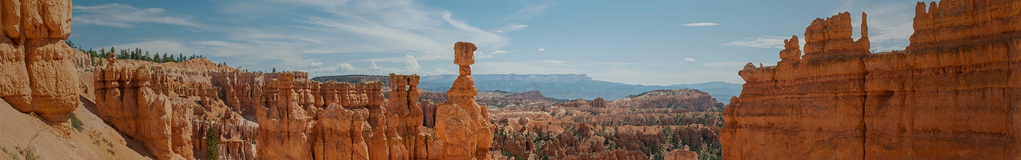 red rock formations in canyon