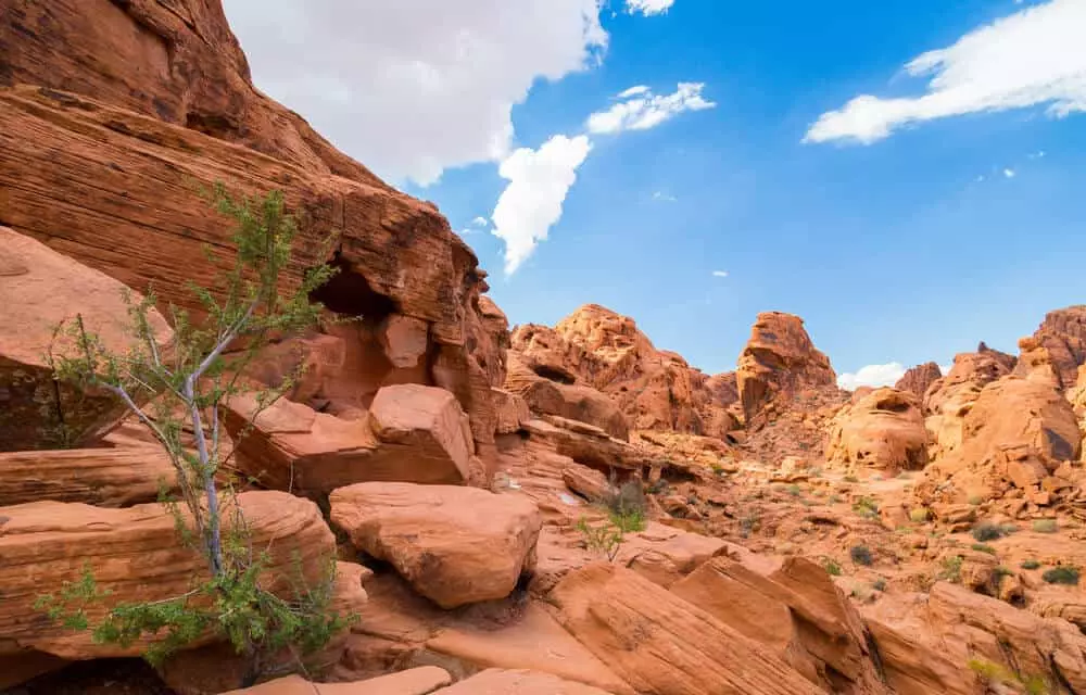 Red rock formations