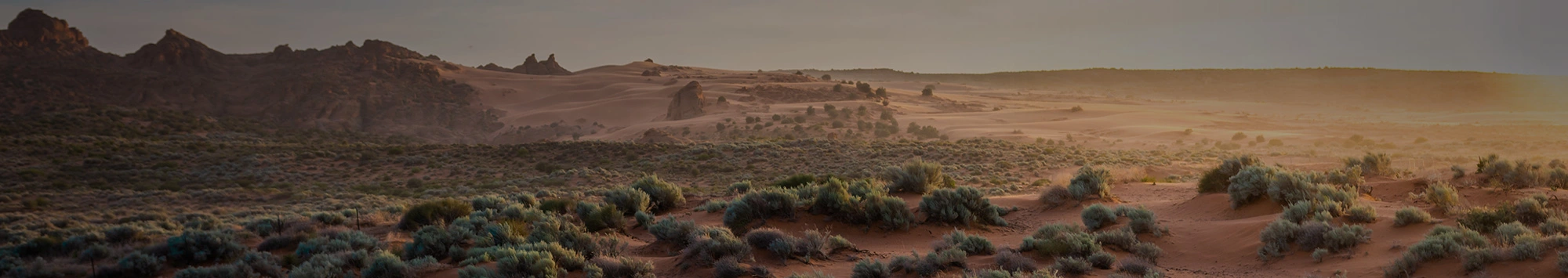 mountains and desert