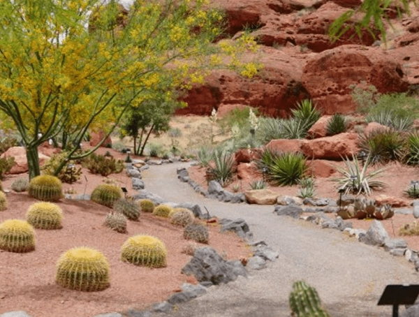 Red Hills Desert Garden