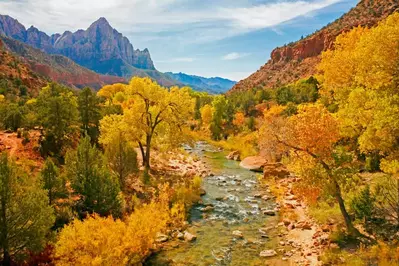 fall colors at Zion National Park in St. George Utah
