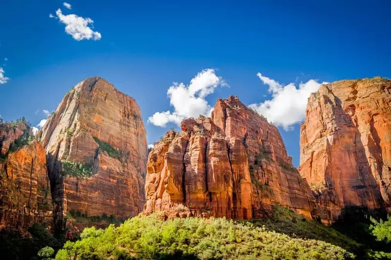 red rock cliffs in Zion National Park in Utah