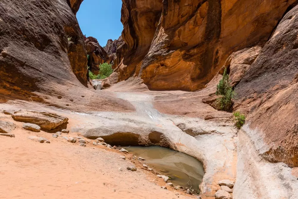 Red Reef Trail in St. George Utah