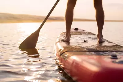 paddle board