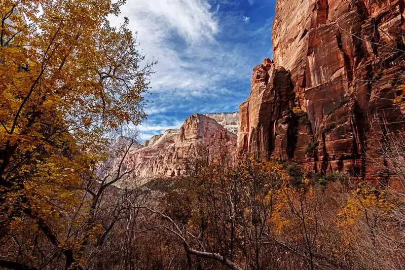 View of St. George in the fall