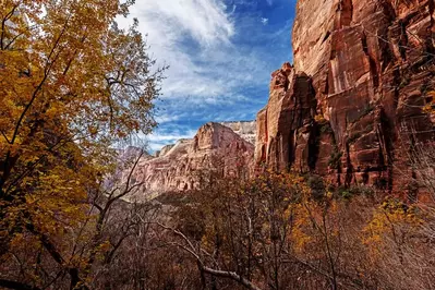 View of St. George in the fall