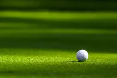 golf ball on green