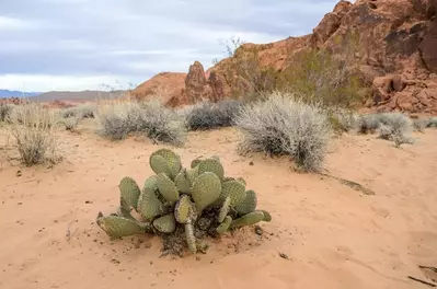 desert hiking trail utah