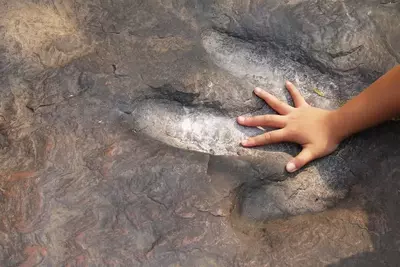 dino track