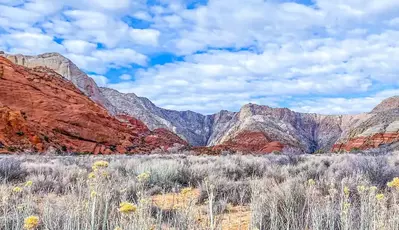 Lava Flow Trail in the St George Utah