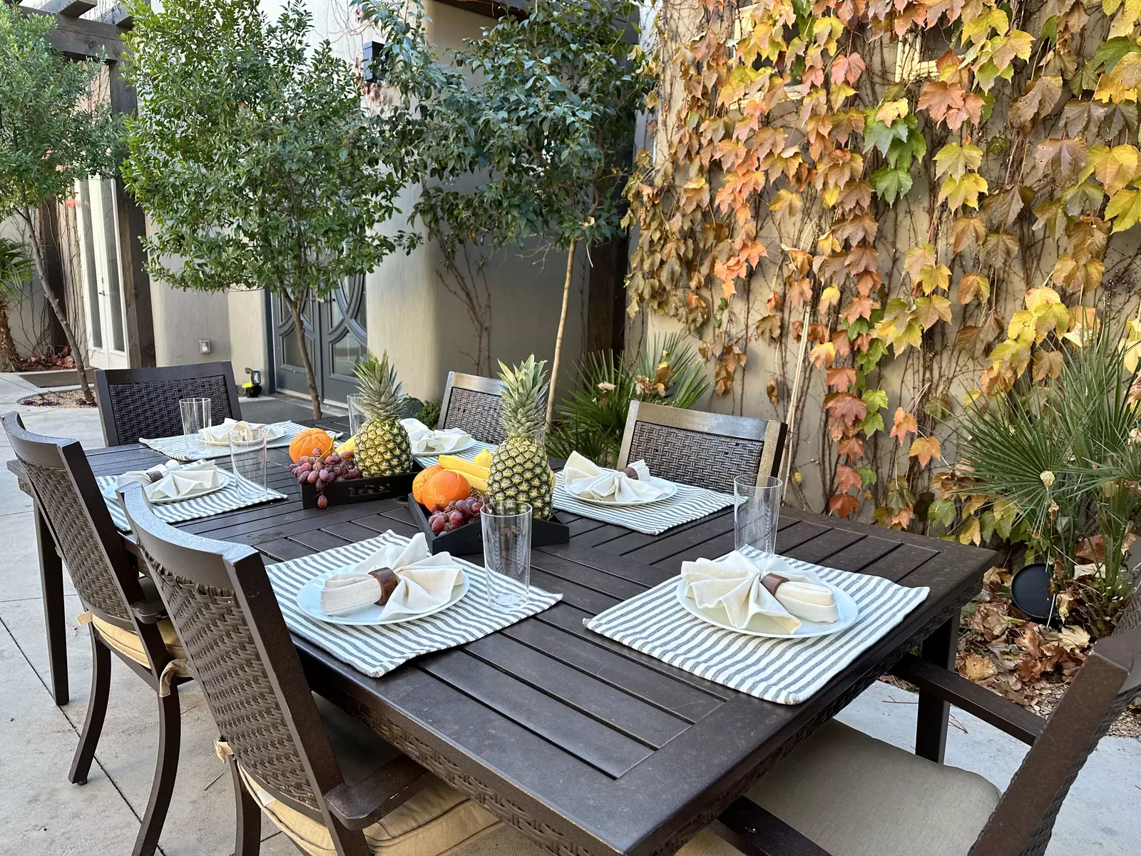 Backyard Dining Table