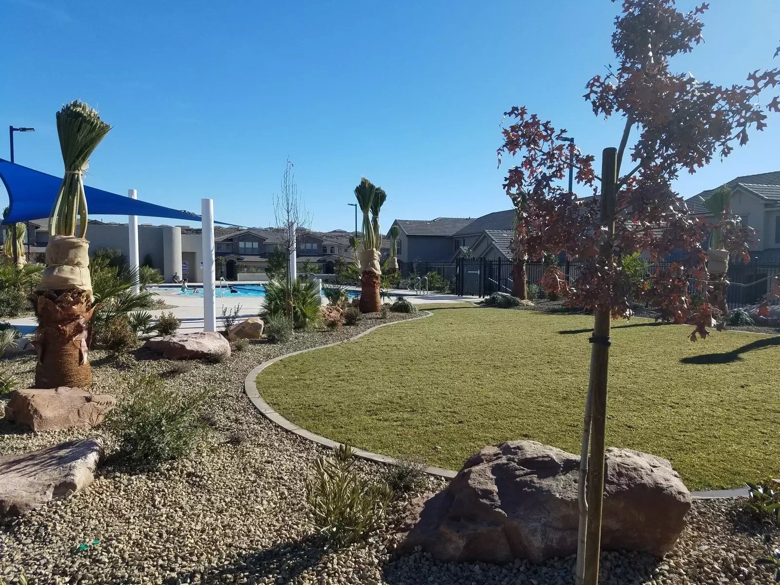 Community Pool grass area