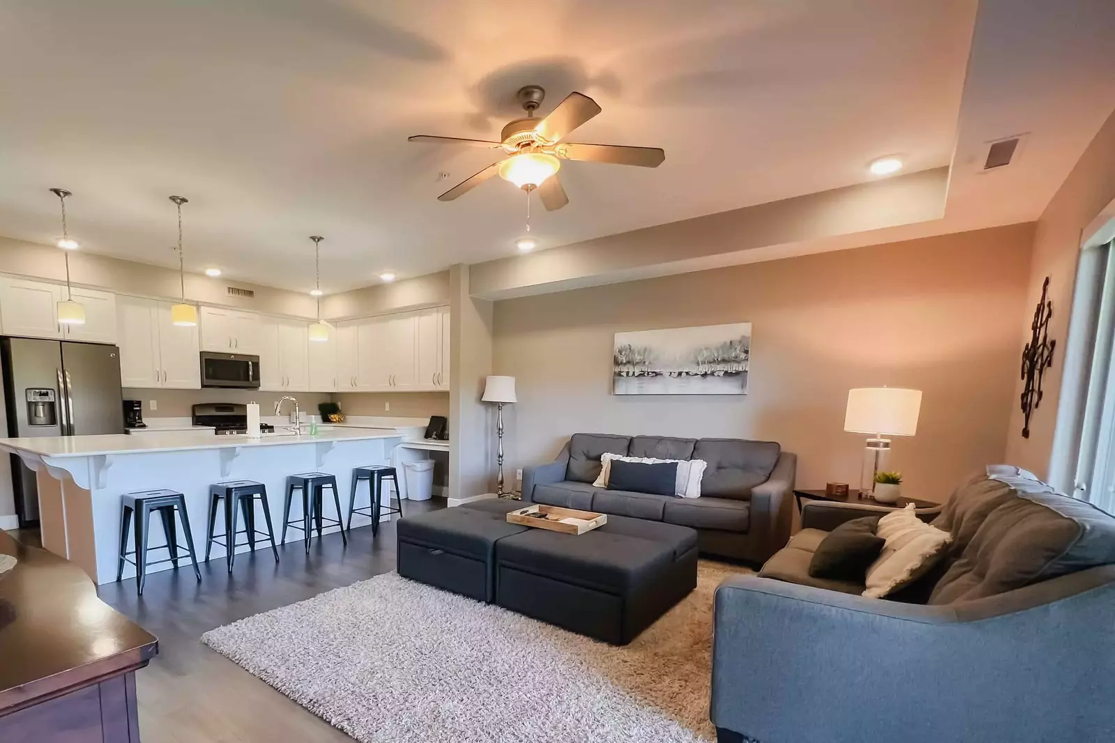 Living Room & Bar Seating