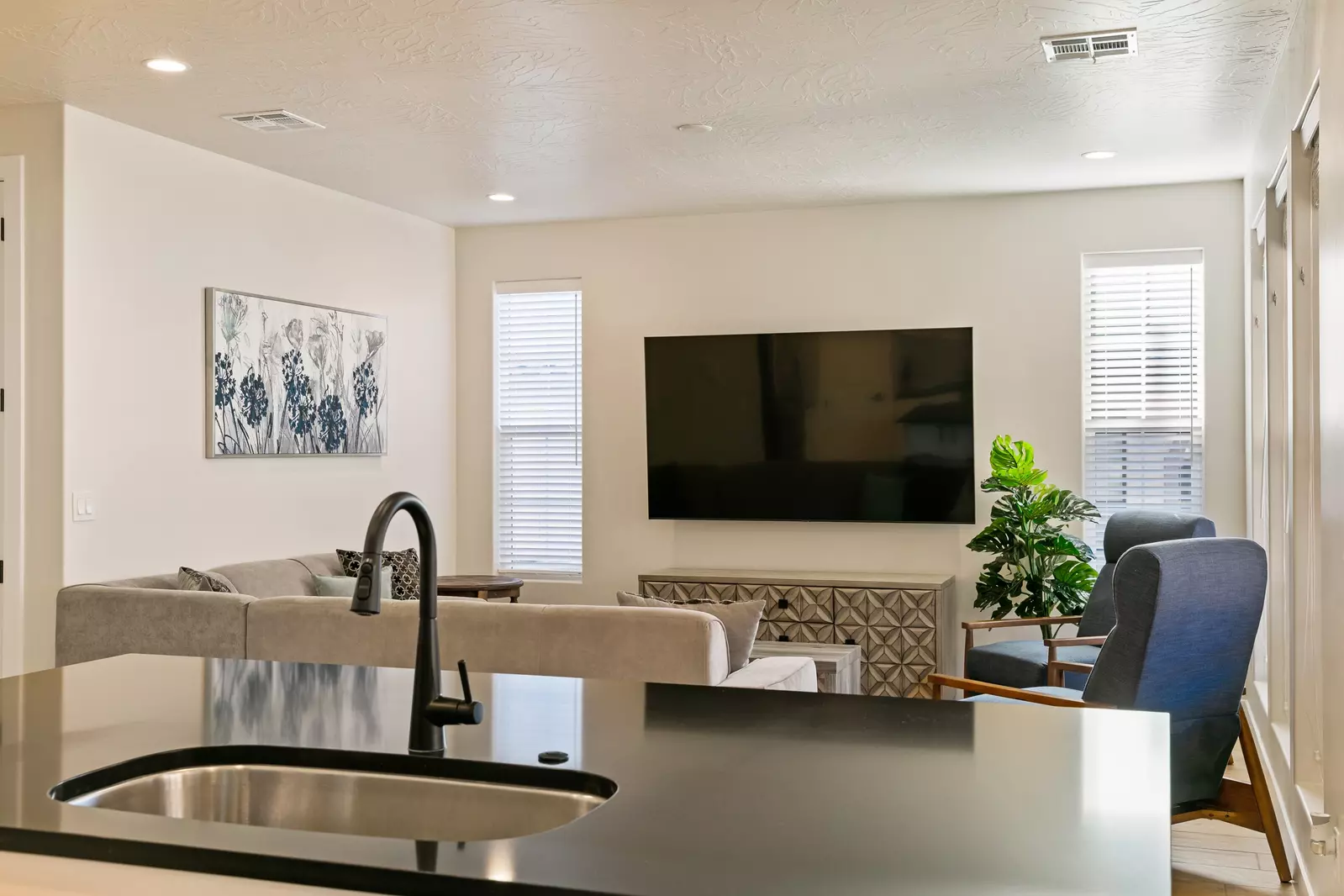 Kitchen and Living Area
