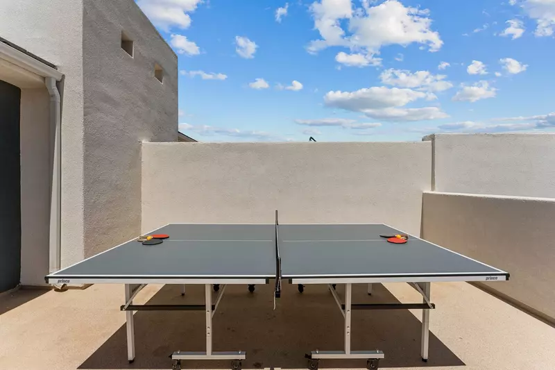Ping Pong Table