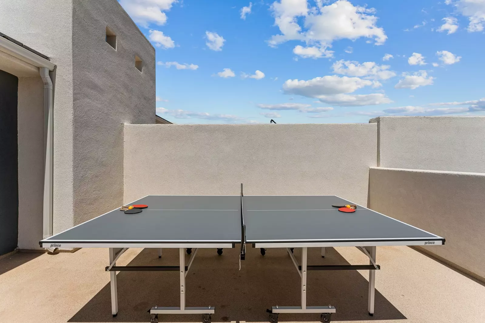 Ping Pong Table