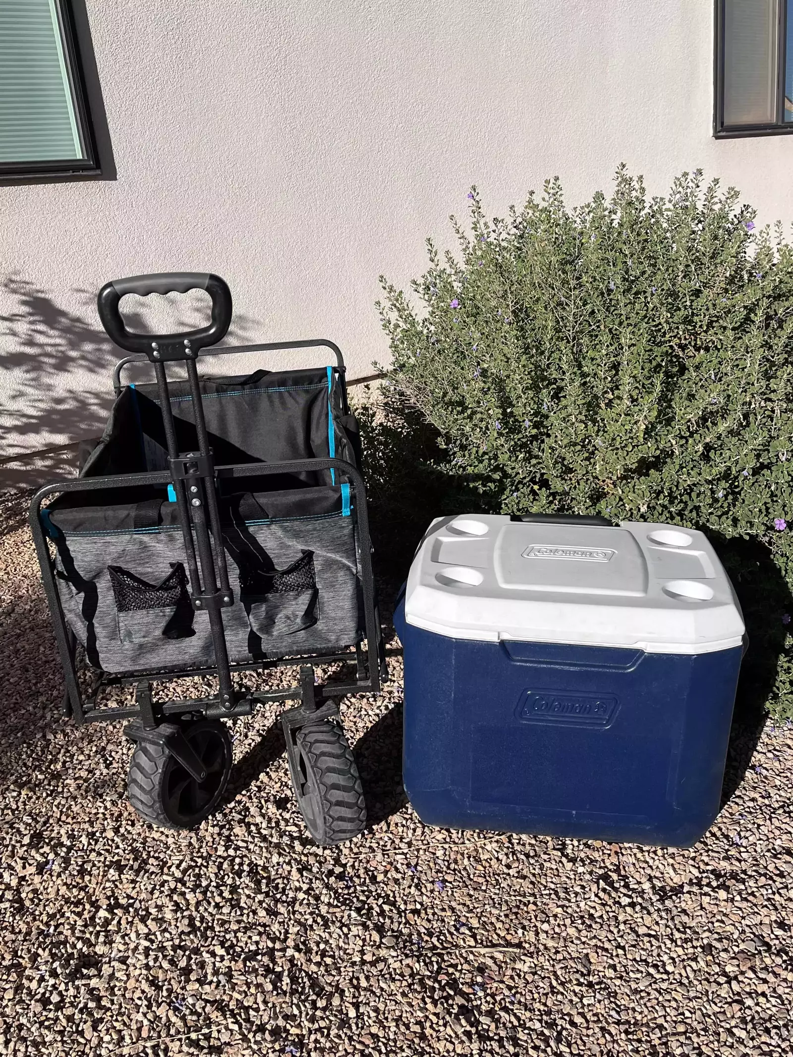 Coral Bay Wagon, Cooler
