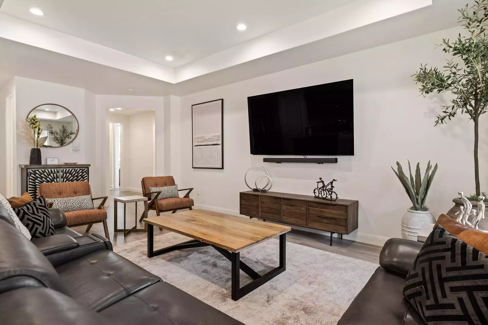 Living Area TV