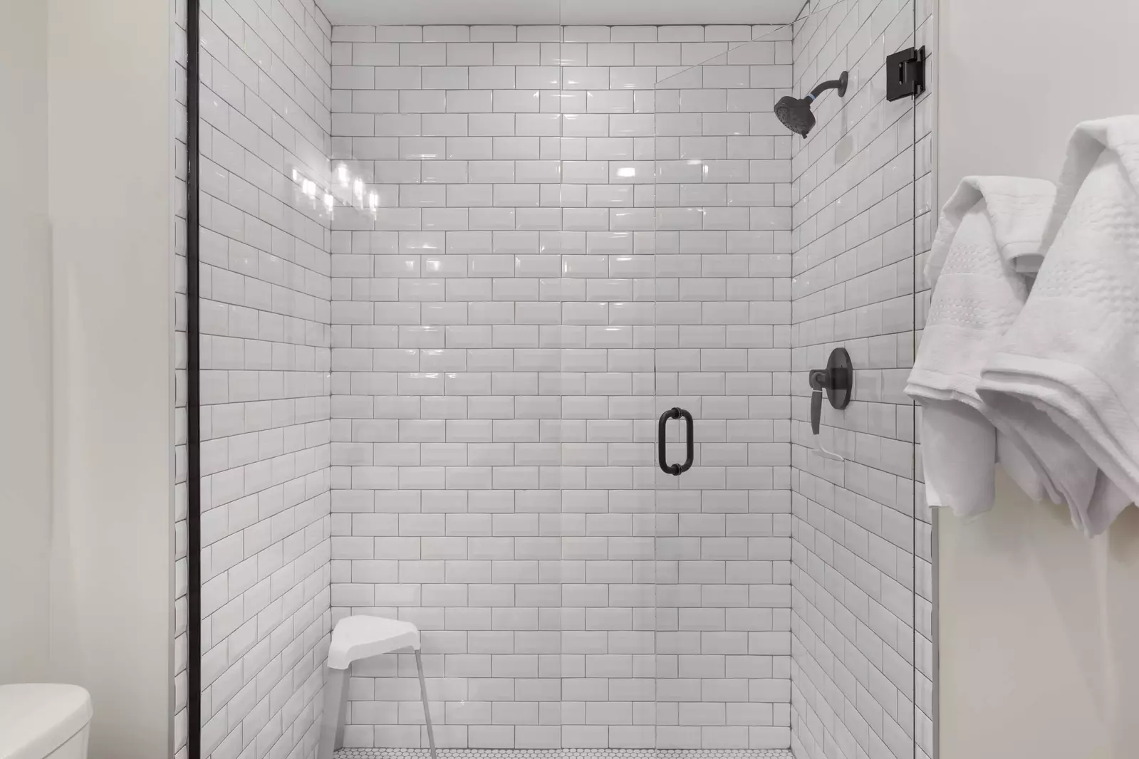 Master Bath Shower