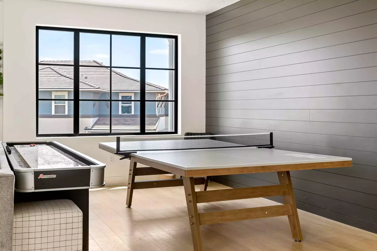 Ping Pong / Shuffleboard