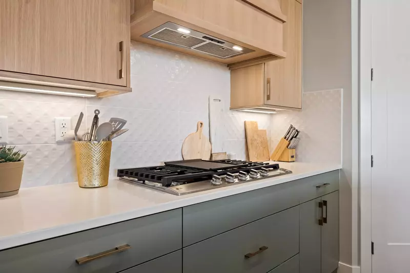 Kitchen Gas Stove