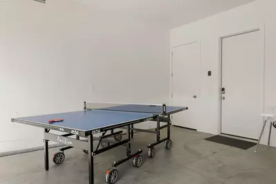 Ping Pong Table