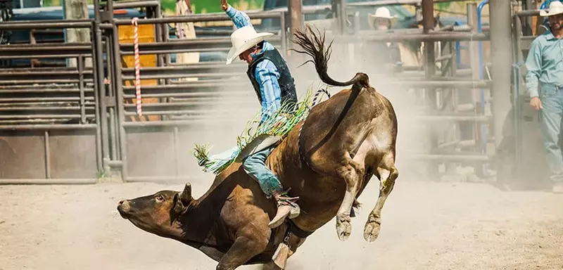 rodeo