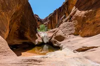 AdobeStock_265848020