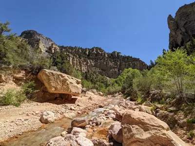 ashdown-gorge