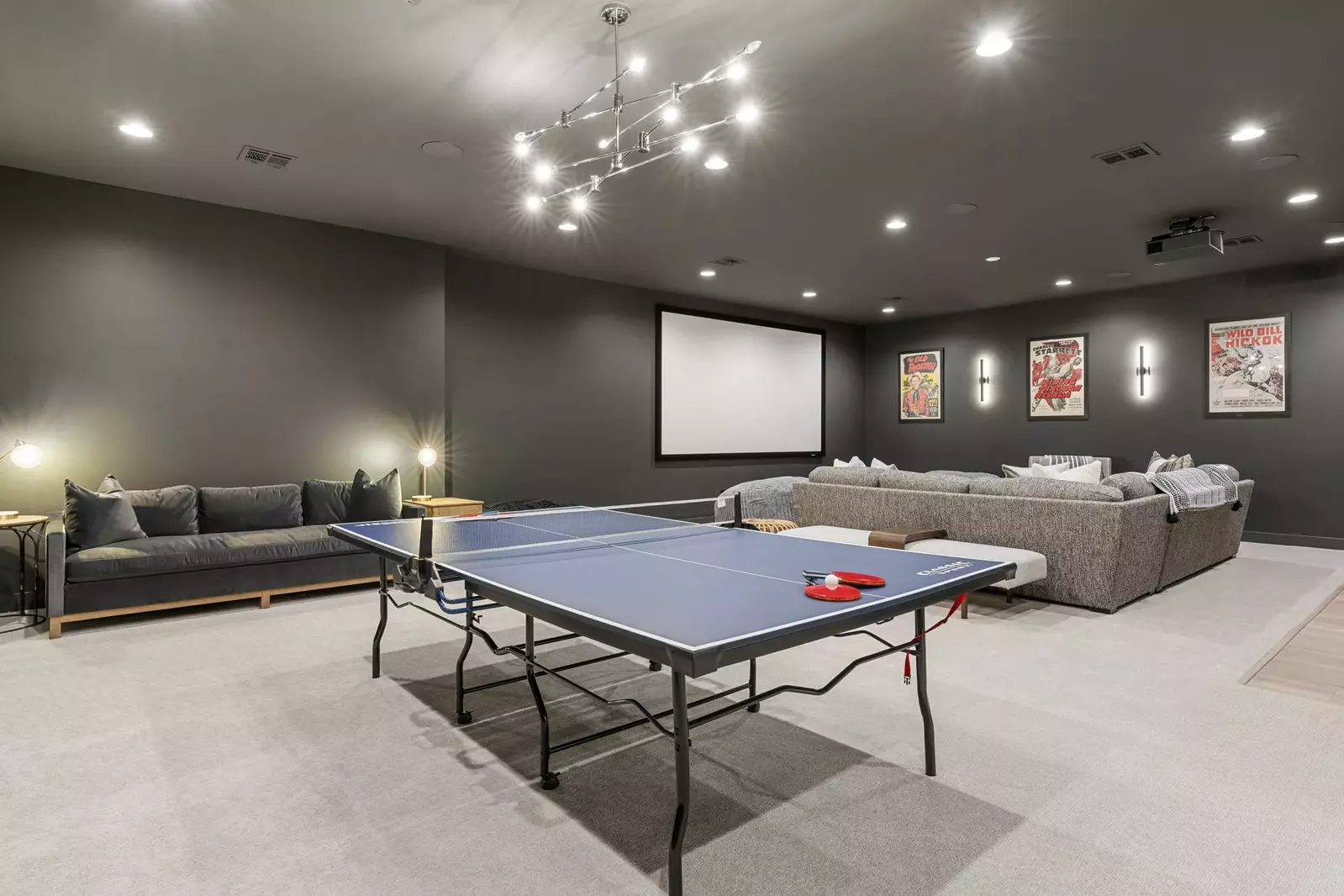 Theatre Room