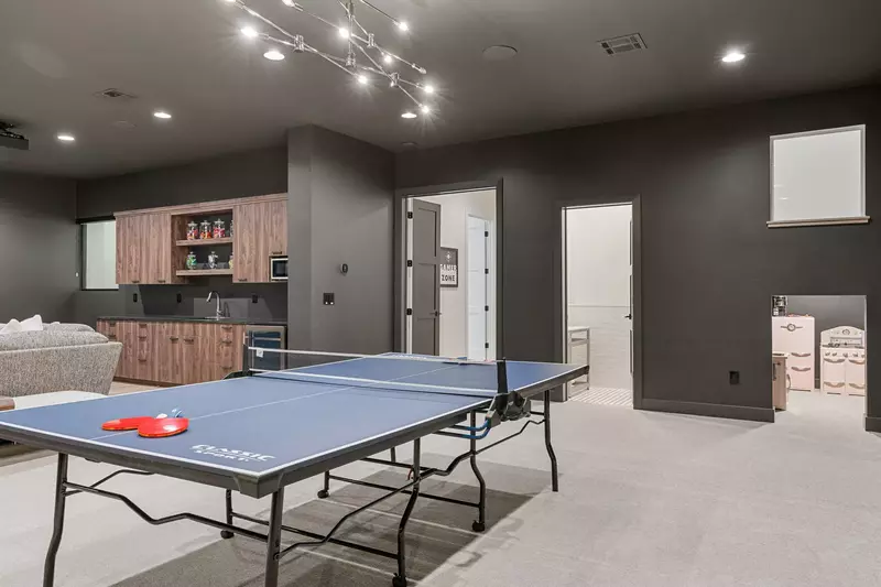 Ping Pong Table