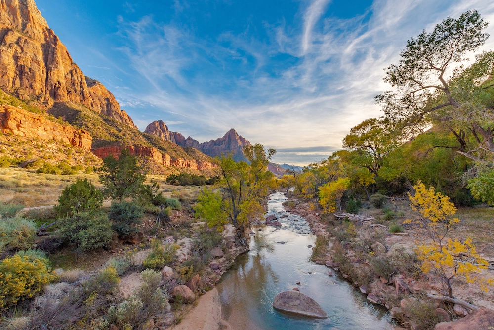 AdobeStock_272224629