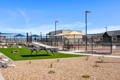 Community Corn Hole + Ping Pong