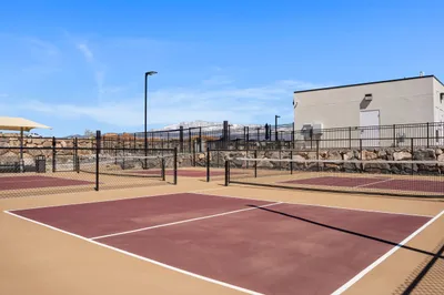 Community Pickleball Court