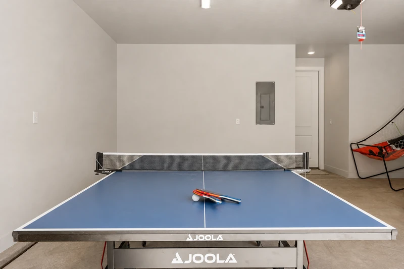 Ping Pong Table