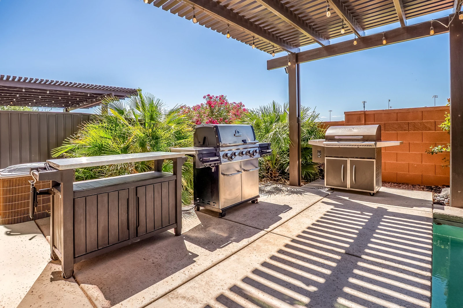 Trager + Gas Grill