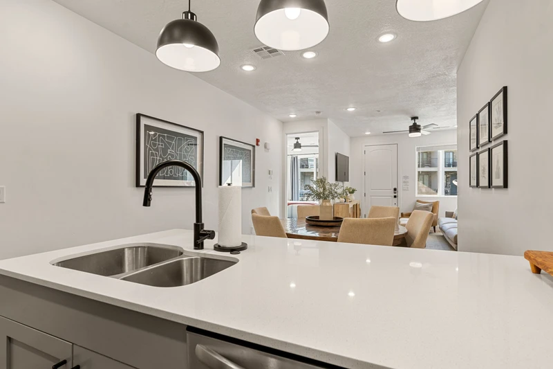 Kitchen Sink