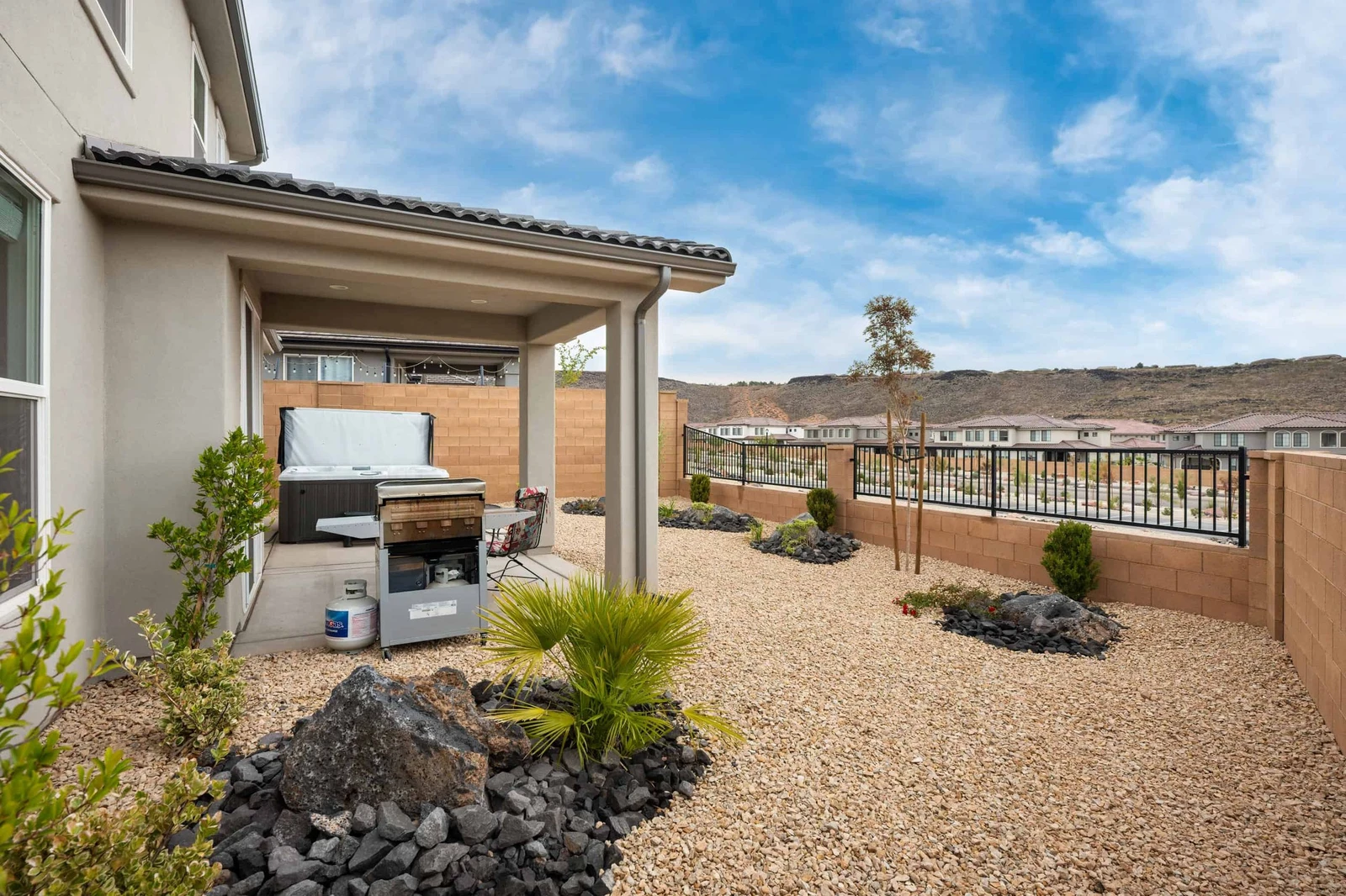 Backyard and BBQ Grill