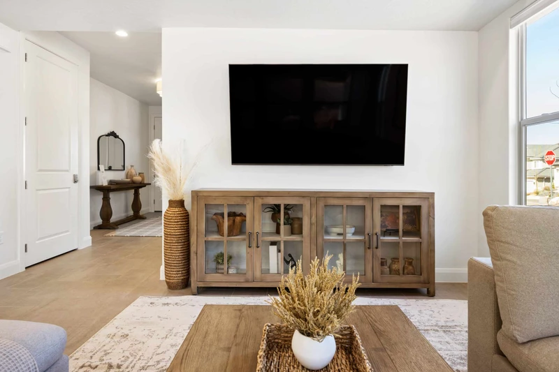 Living Room TV