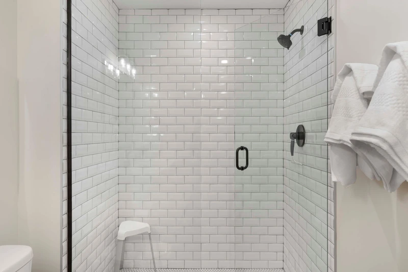 Master Bath Shower