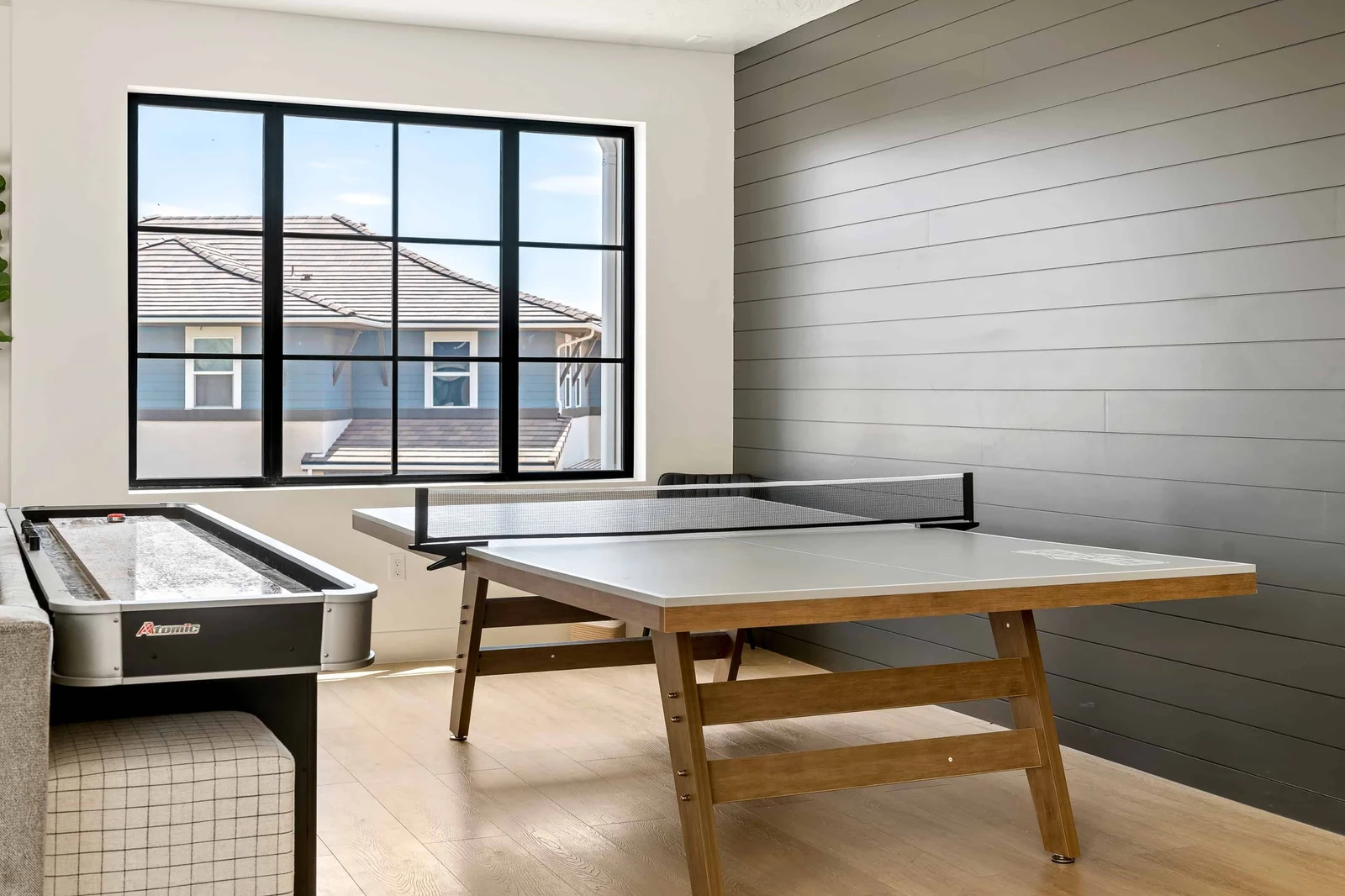 Ping Pong / Shuffleboard