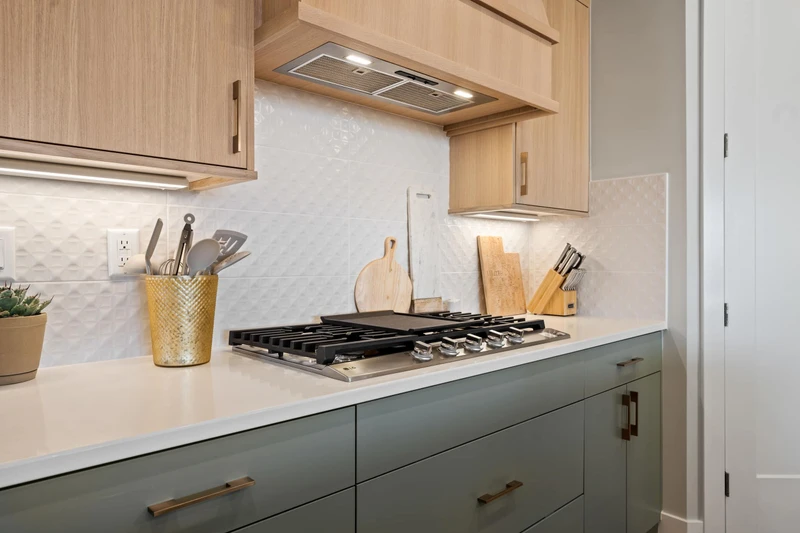 Kitchen Gas Stove