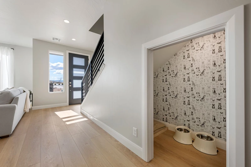 Doggie Area