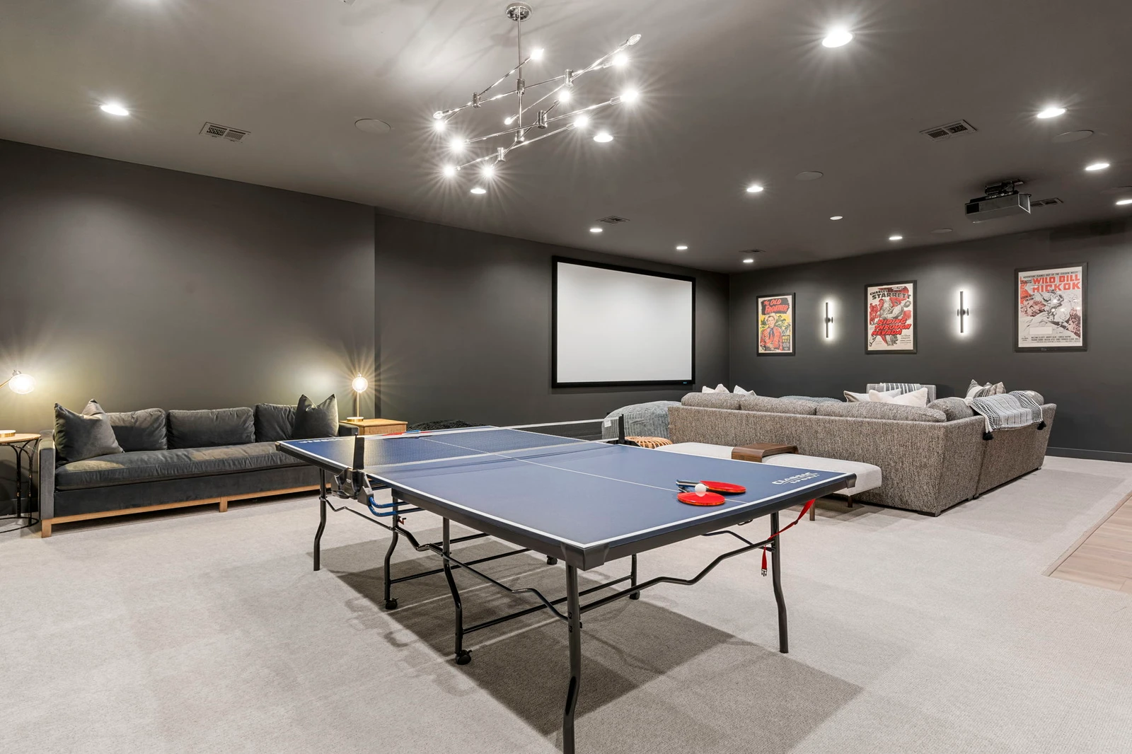 Theatre Room