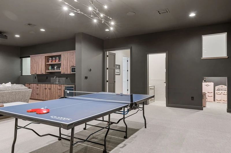 Ping Pong Table